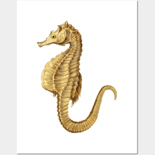 Hippocampus seahorse Posters and Art
